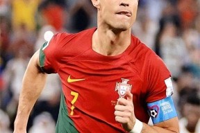 ipad版-c罗中国人气