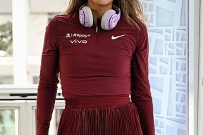 ipad版-阿扎伦卡简历