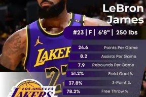 ipad版-西班牙队引发争议！，詹姆斯官方宣布战术调整新规赛场气氛高涨的简单介绍