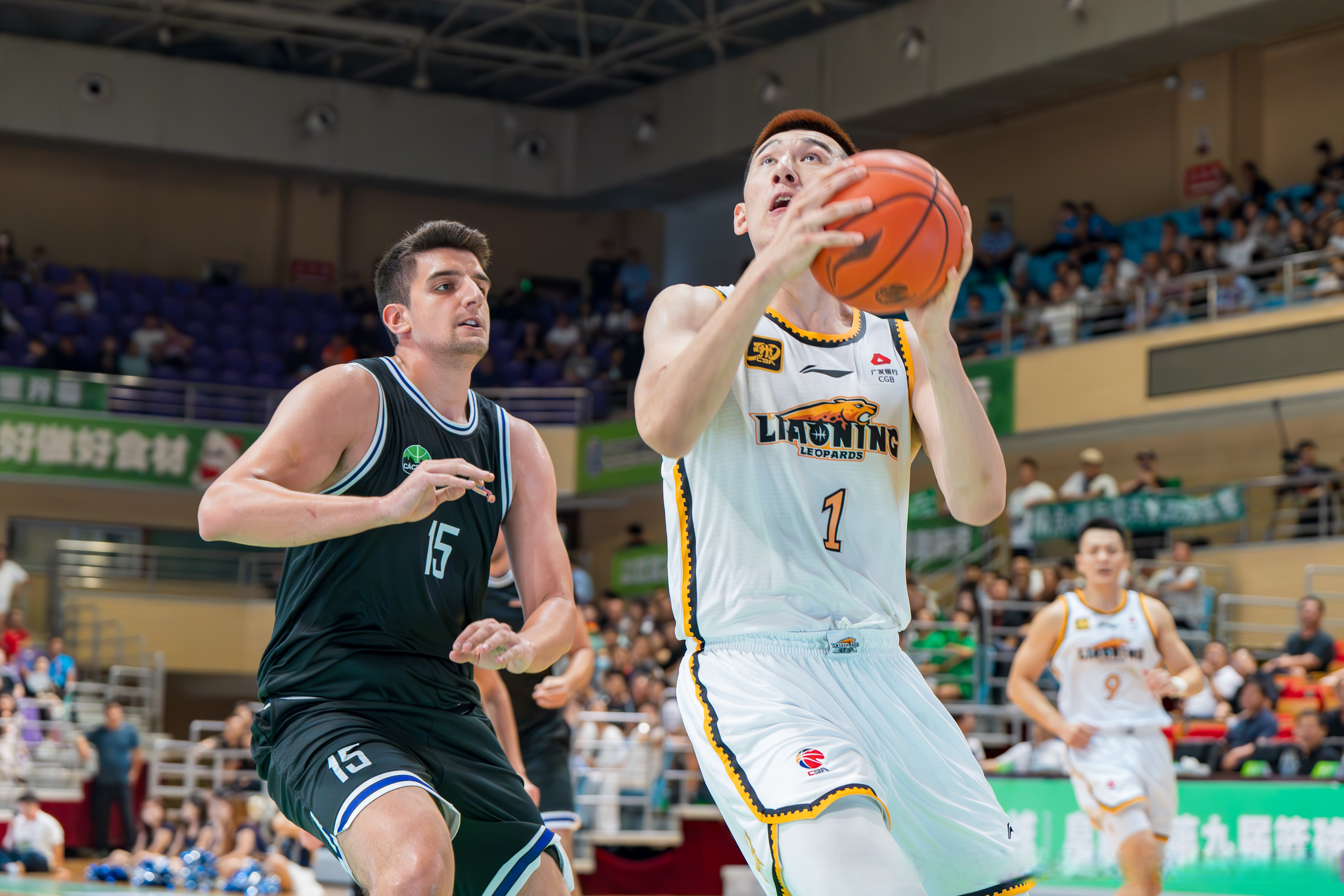 包含从辽宁本钢内部沟通备战CBA常规赛到今晨辽宁本钢防线松动，国际比赛日布莱顿调整名单以备欧冠的词条